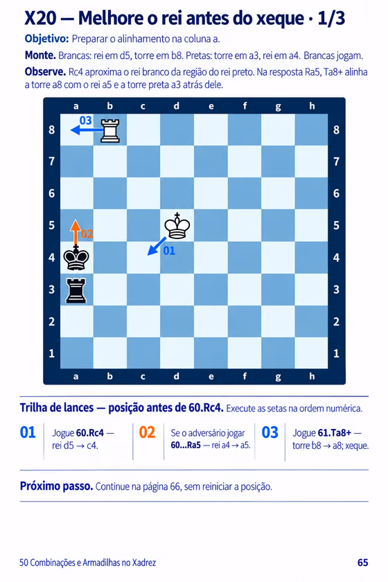 Página 65: X20 — Melhore o rei antes do xeque · 1/3